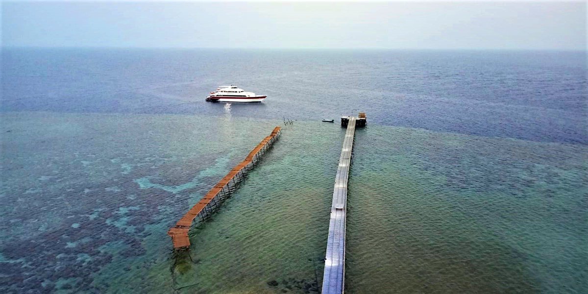 EmperorDivers tweet media