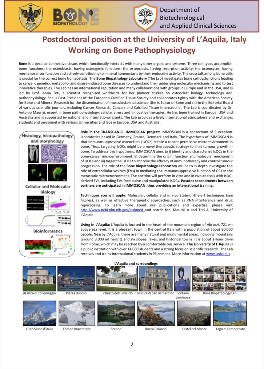 ECTS_science's tweet photo. Postdoctoral/scientist position is open to join the ERA-Net project IMMOSCAN and work at the University of L’Aquila, Italy, on the role of immune osteoclasts in cancer – implications for therapy. Deadline for application 28 February 2023 #sciencejob #postdoc https://t.co/FxSalT50tL