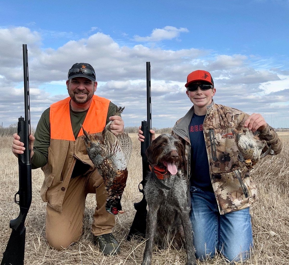 BEOUTDOORScom's tweet photo. A couple of great hunts to close out the KS bird season. #birddogs #youthhunt #wirehairedpointer #quailhunting #pheasanthunting https://t.co/NAAU32DhKl