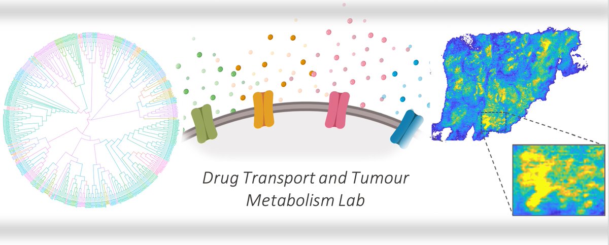 Louise Fets (@louise_fets) on Twitter photo Job Alert🚨🚨 My lab <a href="/MRC_LMS/">MRC Laboratory of Medical Sciences (LMS)</a> has a 3y postdoc position available for a computational biologist/mathematical modeller to work on a <a href="/CRUKresearch/">Science and Innovation at Cancer Research UK</a> funded #drugtransport project, in collaboration with <a href="/BorisLenhard/">Boris Lenhard</a>. Please RT/DM for details! <a href="/imperialcollege/">Imperial College London</a> imperial.ac.uk/jobs/descripti… Job Alert🚨🚨 My lab <a href="/MRC_LMS/">MRC Laboratory of Medical Sciences (LMS)</a> has a 3y postdoc position available for a computational biologist/mathematical modeller to work on a <a href="/CRUKresearch/">Science and Innovation at Cancer Research UK</a> funded #drugtransport project, in collaboration with <a href="/BorisLenhard/">Boris Lenhard</a>. Please RT/DM for details! <a href="/imperialcollege/">Imperial College London</a> imperial.ac.uk/jobs/descripti…