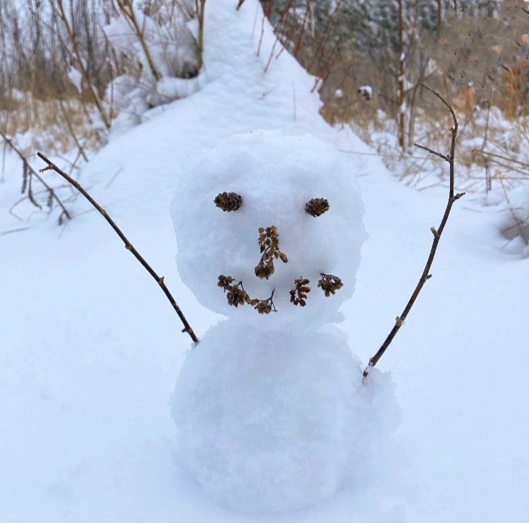 ' Bu kadar kardan bu kadar kardan adam 😄