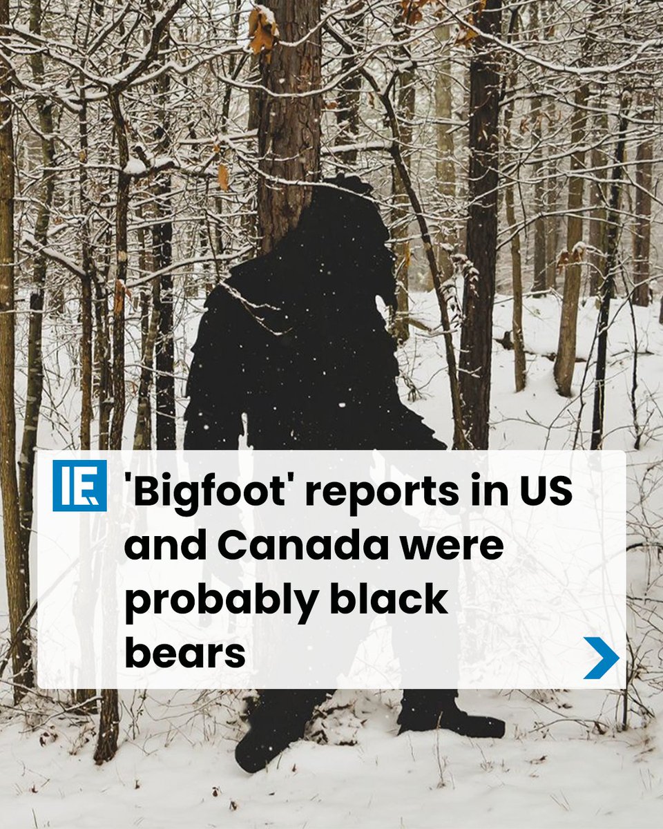 Image of this social media content