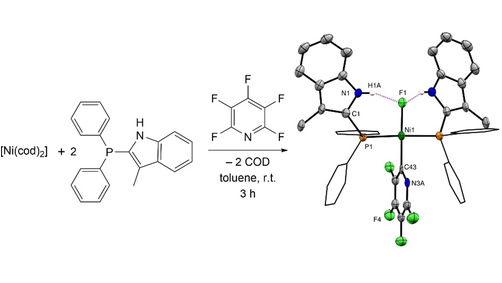 HelvChimActa's tweet photo. Have a look on how @BraunGroup uses indolyl phosphine nickel(II) fluorido complexes bearing intramolecular H-bonds in Suzuki-Miyaura cross-coupling reactions #Dunitz_Issue #OpenAccess https://t.co/u2ubb0qLHg https://t.co/lCExehFX14
