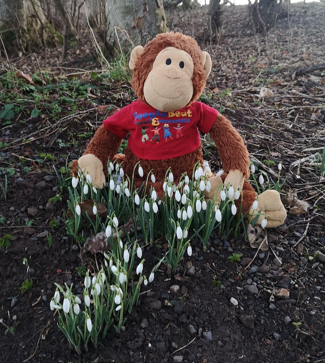 Boogie Beat Edin Mid East Lothian tweet media