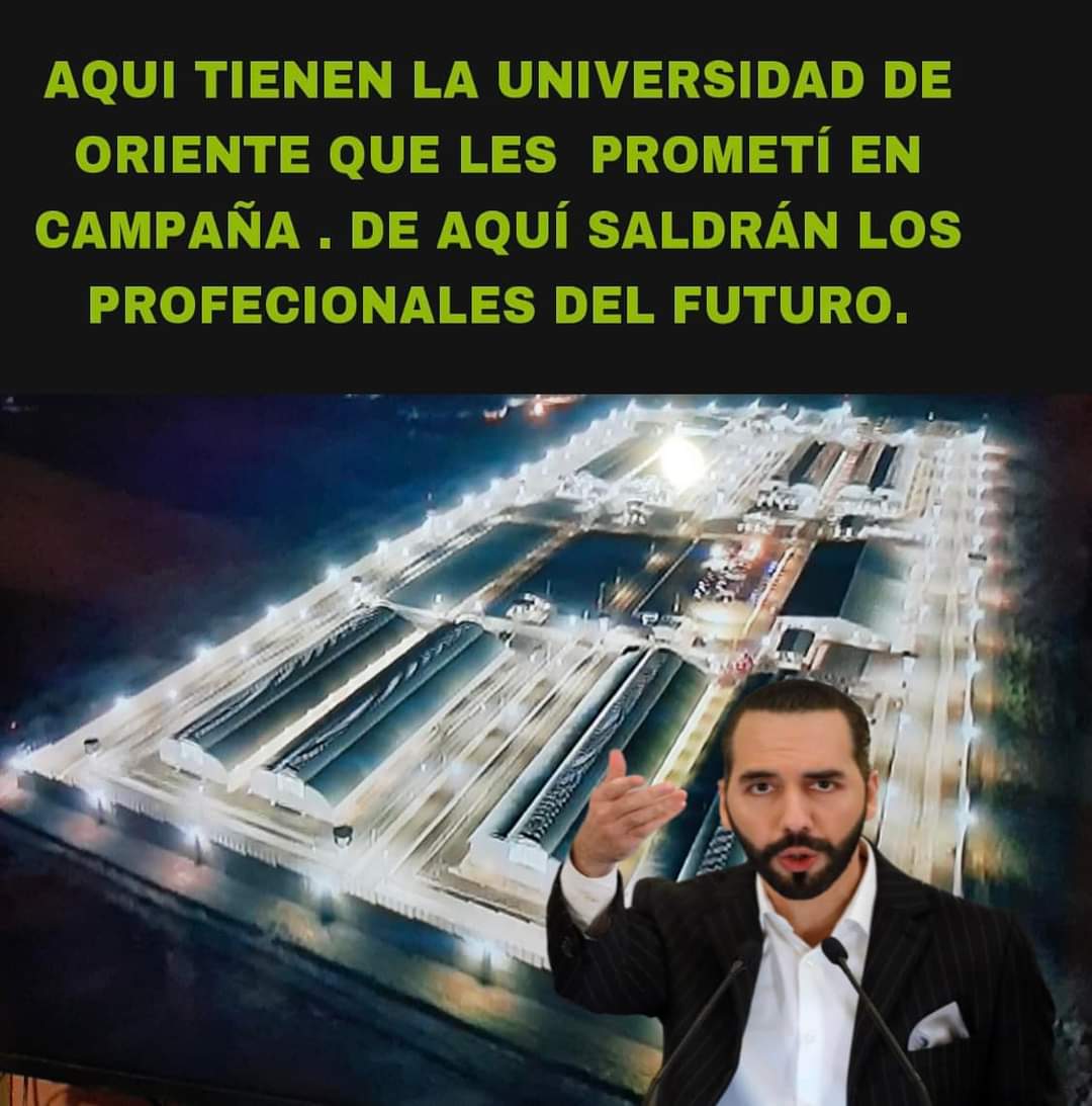 Sara monroe sv tweet media