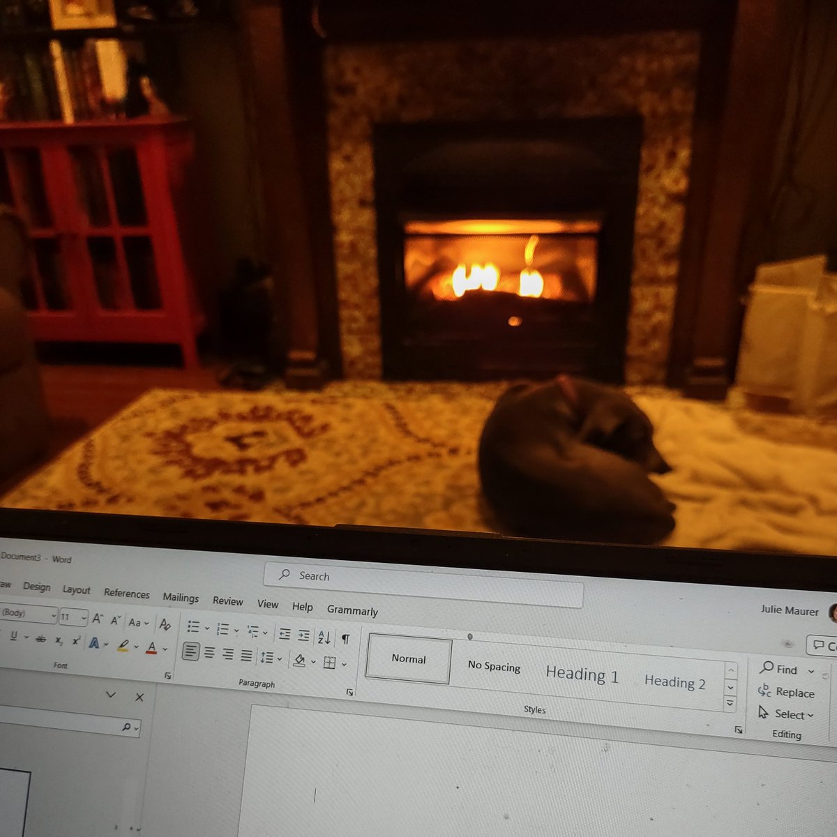 Happy February! It's a very chilly morning here in Michigan, but at least I have a cozy fire and snuggly puppy to keep me warm as I work today. Let's do this! #writingcommunity #romanceauthor