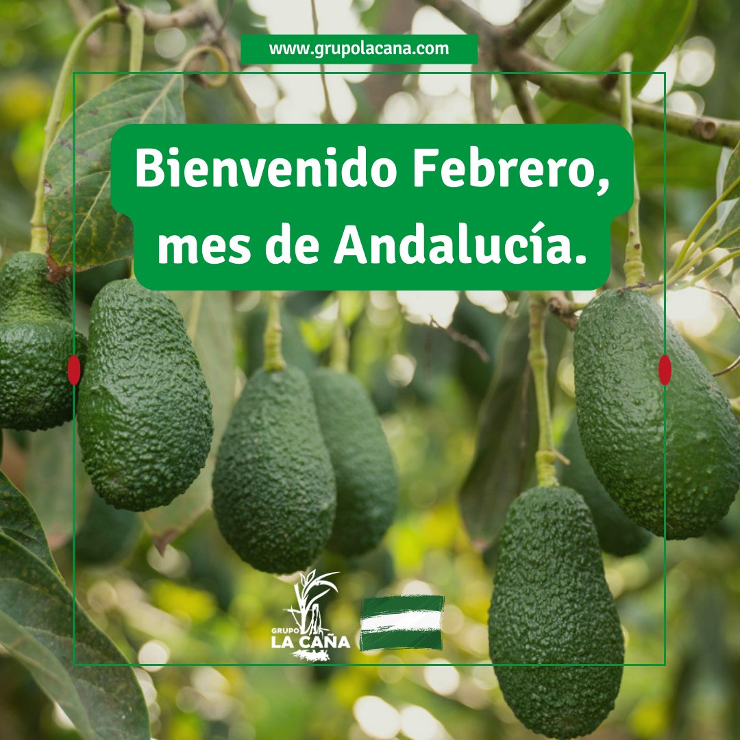 GrupoLaCaña (@grupolca) on Twitter photo ¡Verde que te quiero verde! 😉🙌🌱☀️🥑
Febrero es sinónimo de Andalucía, de amor por nuestra tierra, por nuestra cultura y por nuestras frutas y hortalizas,.
Por ello queremos dar la bienvenida a febrero con su principal protagonista, nuestra fruta del corazón, el aguacate. 🙂 ¡Verde que te quiero verde! 😉🙌🌱☀️🥑
Febrero es sinónimo de Andalucía, de amor por nuestra tierra, por nuestra cultura y por nuestras frutas y hortalizas,.
Por ello queremos dar la bienvenida a febrero con su principal protagonista, nuestra fruta del corazón, el aguacate. 🙂