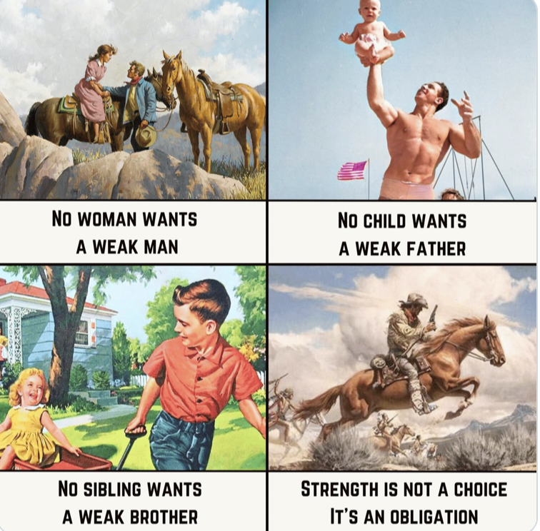 AlpacaAurelius's tweet image. 