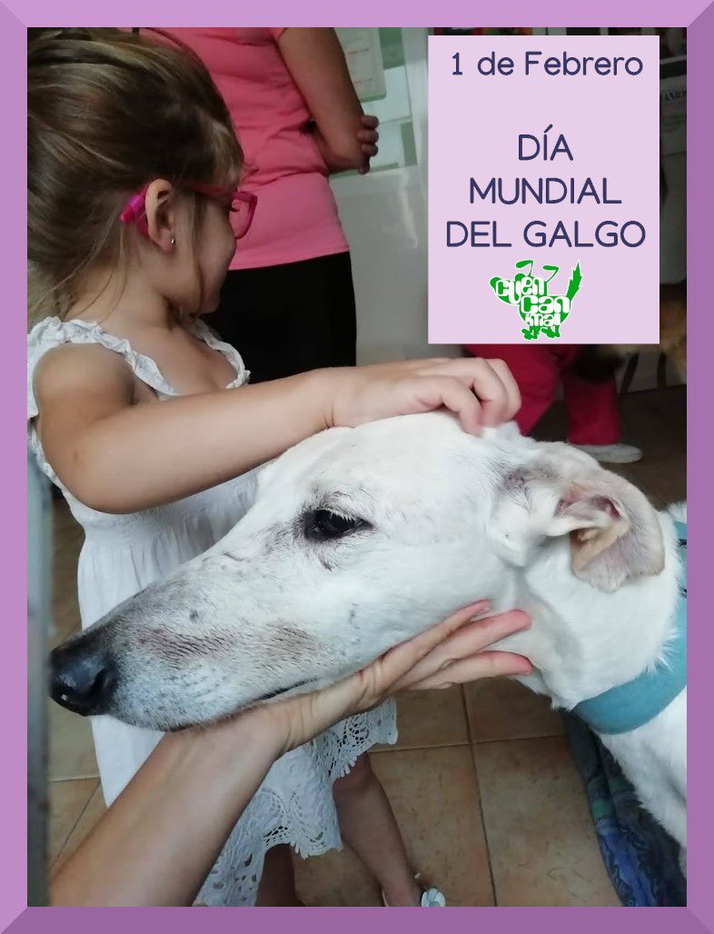 Cuencanimal (@cuencanimal) on Twitter photo 