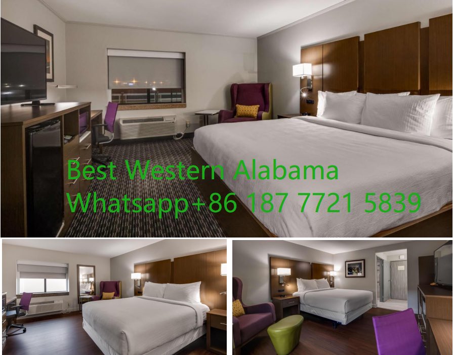 Motel Furniture Qualified Vendor ---Best Western Alabama- furniture package,nice color and design, pm me if you are interested.
Or Texting me on whatsapp is better and easy to send quotation.
PM +86 187 7721 5839