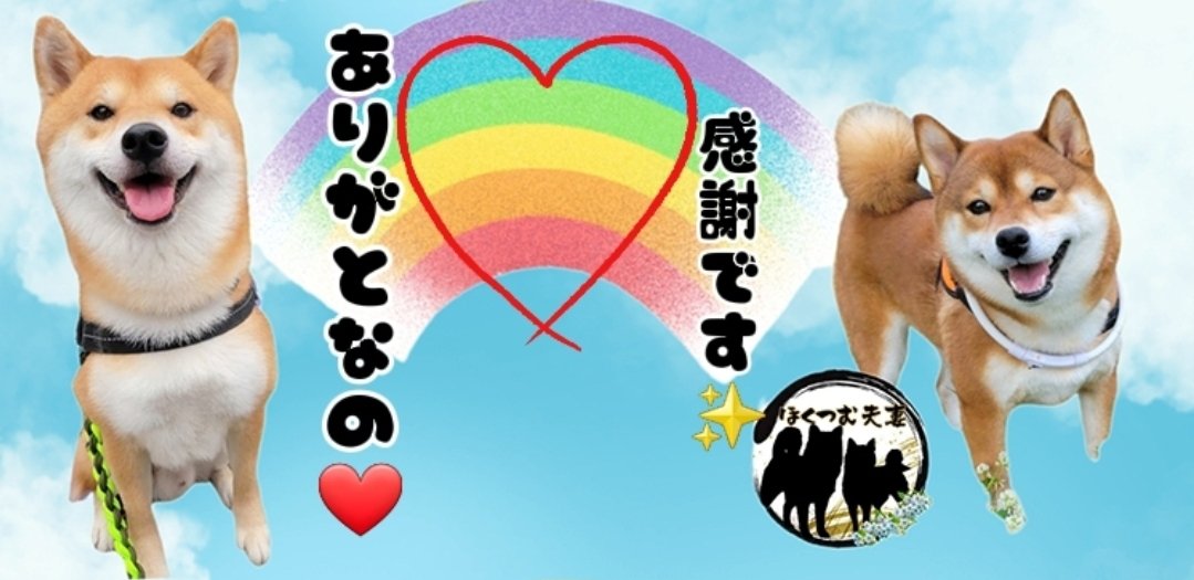 ho9to2's tweet photo. ごめんなさい！予想外の出勤などで遅れていますが、🎀のみの方の発送は2日で完了します！

お雛様も15セットのうち13セット分、出来上がってます(*´ω`*)！

もう少々お待ちくださいなの！
(今回このカード？入れてます☺️) https://t.co/gtVWZ5eYYH