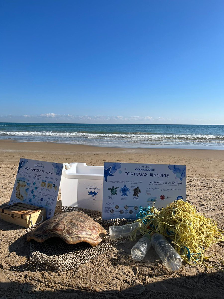 Oceanogràfic València tweet media