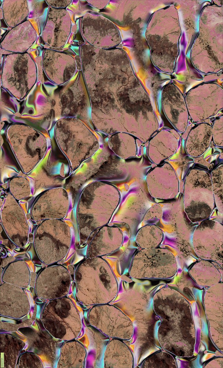 pali (they, them) 🏳️‍⚧️ tweet media