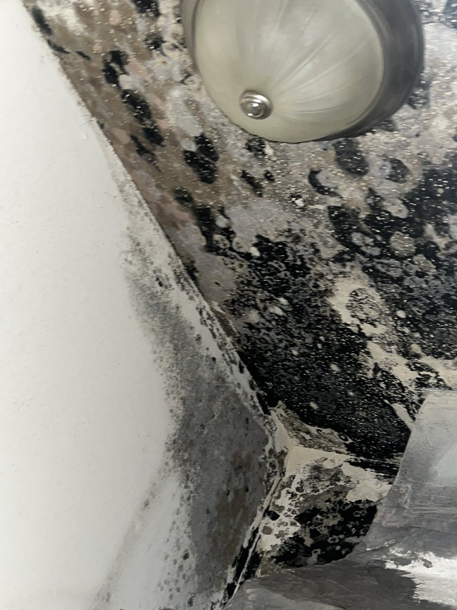 Jas 🤎 on Twitter "RT itsalwayslala The University of West