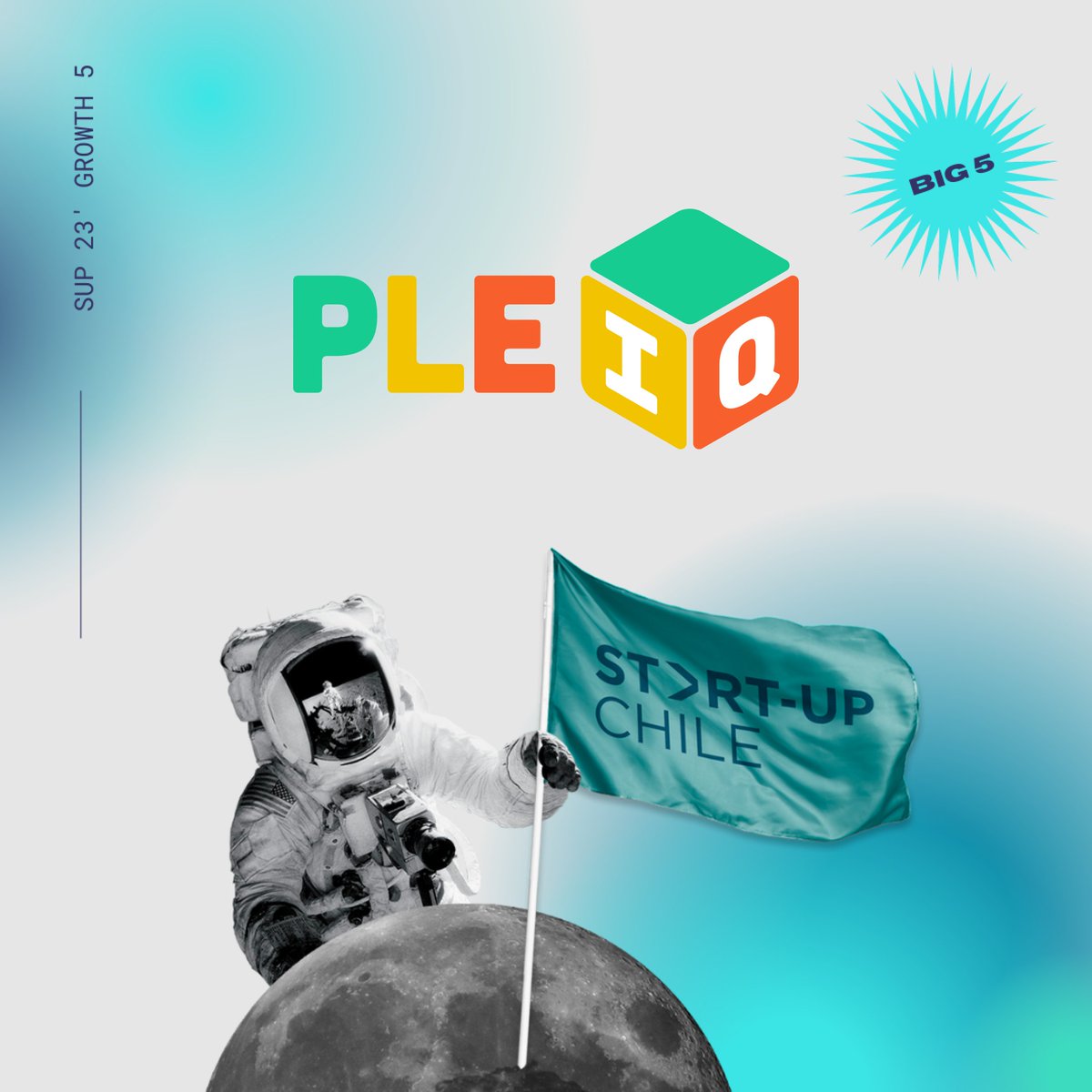 PleIQ tweet media