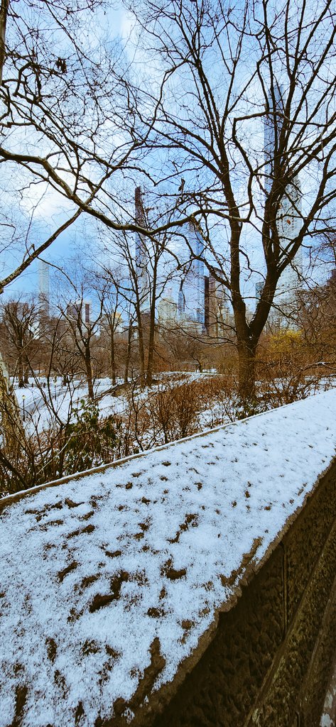MattWolfeOnAir's tweet photo. That's more like it. For some of us anyway. First measurable snow in Central Park for 2023. #ADusting🌨 @Ginger_Zee @Wx_Max @SamChampion @LeeGoldbergABC7 @hoffmanrich @SamanthaAugeri @SamWnek https://t.co/dRzy4WWi5J