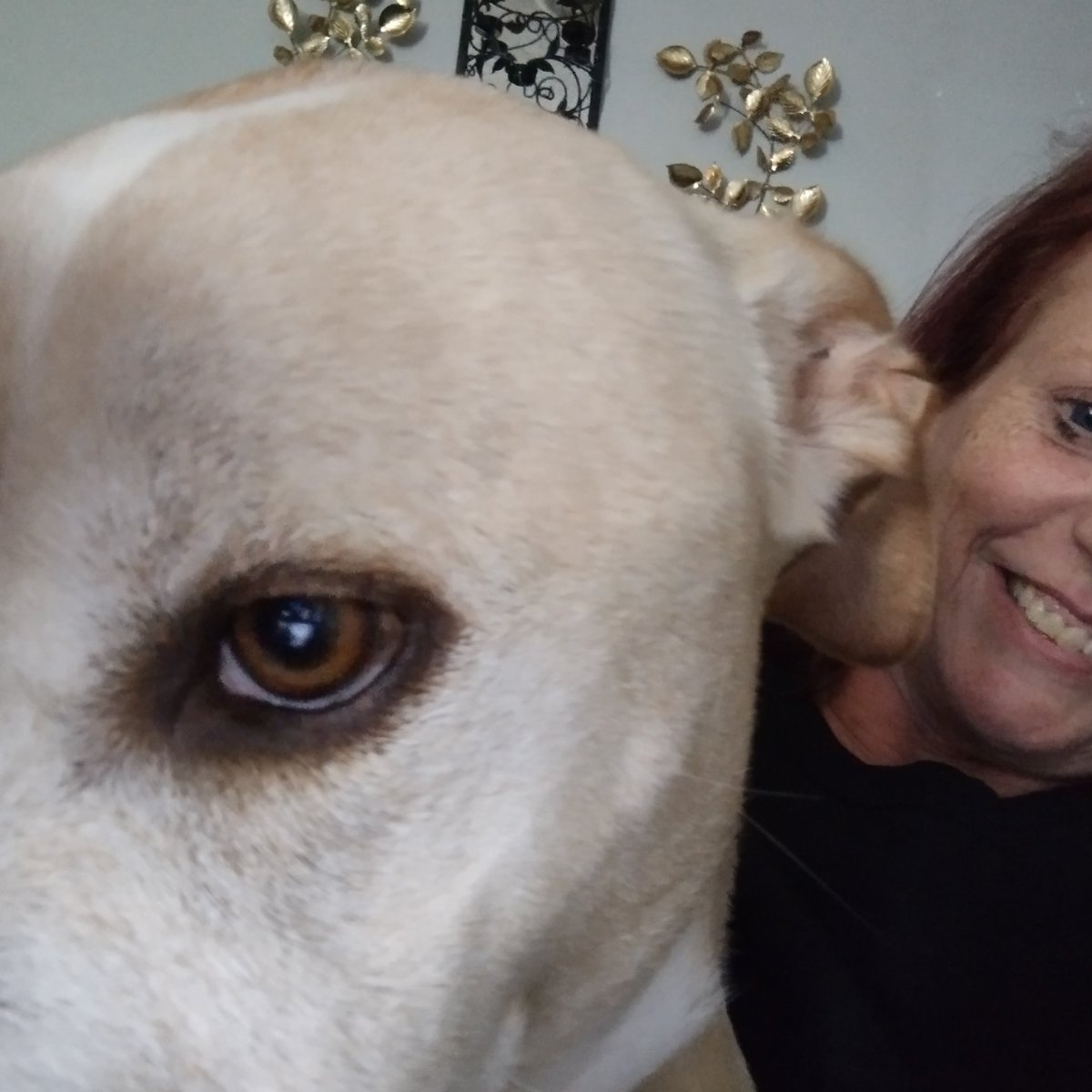 ChristieS2019's tweet photo. Today isn't any easier #RIPOtis 💔💔💔💔💔 https://t.co/fMSOC7ALQl