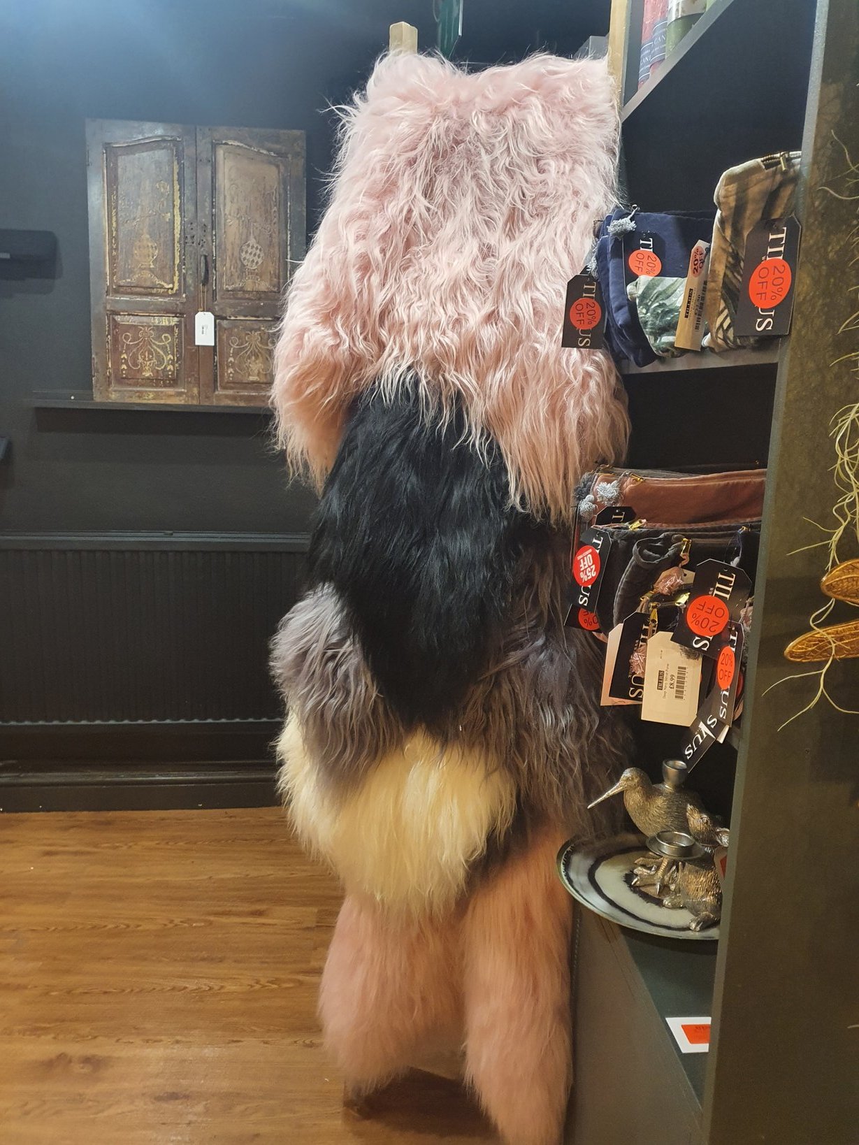 Kitchiki @ MFF! on X: “My furry ass in a random shop and thinking 