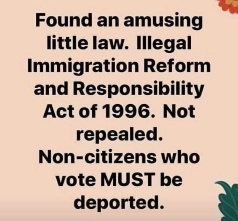 CRIXUSwasHERE's tweet photo. @MaldonDonmal @PamelaGeller No they cannot.
In fact, if they do vote, they're immediately eligible for deportation.😞 https://t.co/TZAG2syXRO