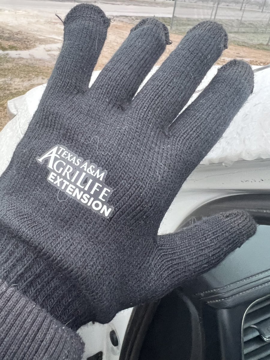 ⁦<a href="/txextension/">Texas A&M AgriLife Extension Service</a>⁩ branded. Stay warm!
