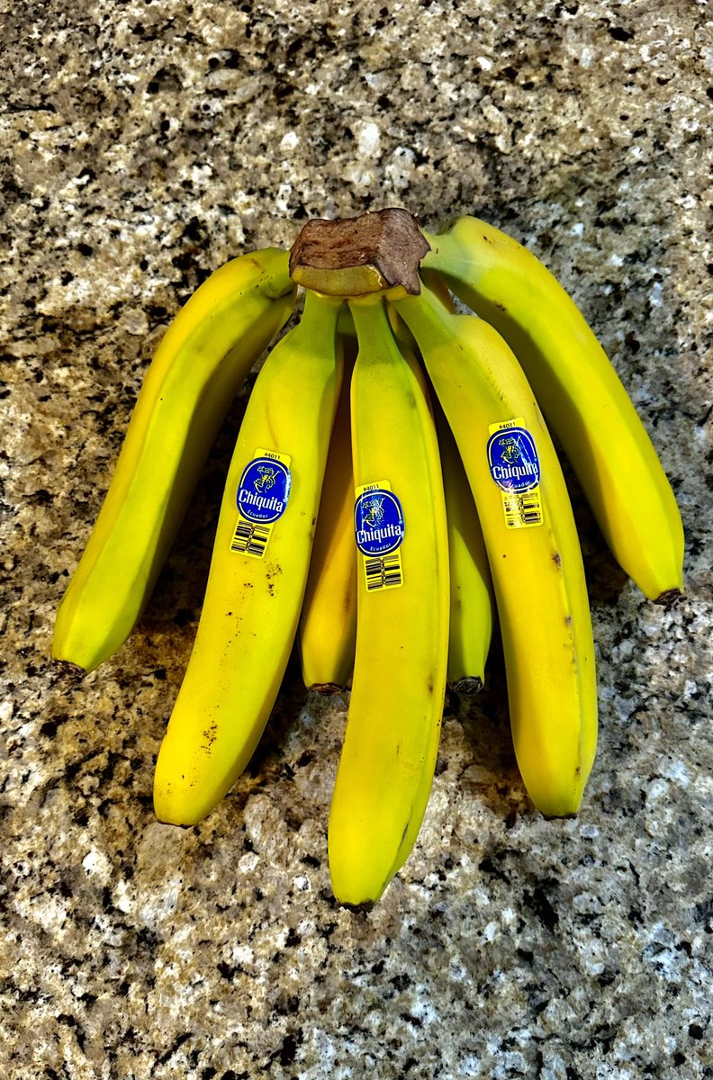 SYSTEMSFRONT's tweet photo. I love shopping at Farm Boy. But today had a horrible experience there. I wanted to buy Bananas &amp; above me I saw what looked like a monkey swinging above the bananas. I had the shock of my life. This could not be happening here in Canada. https://t.co/pzOsZCDRLk