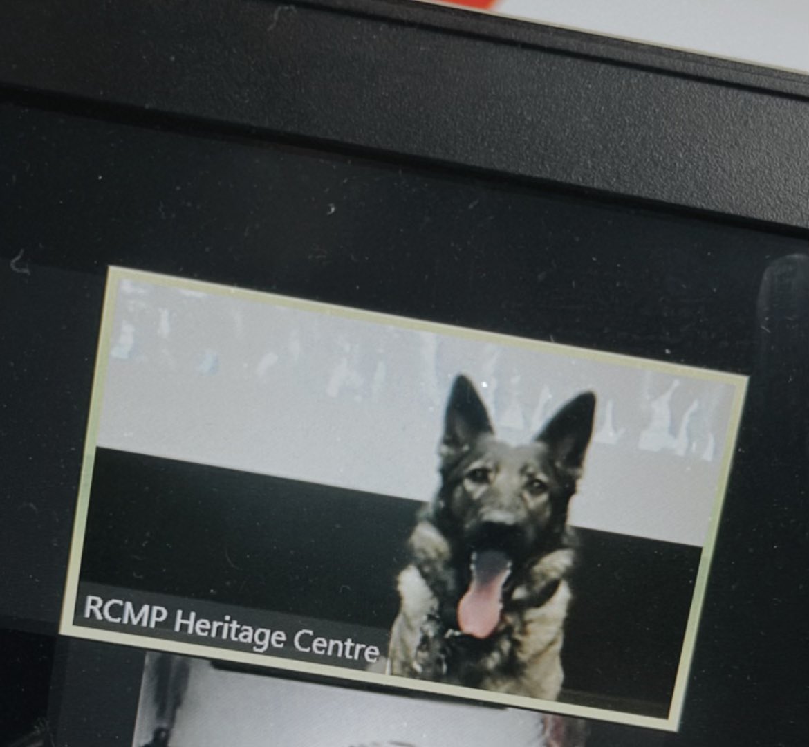 Thank you to the <a href="/RCMPHC/">RCMP Heritage Centre</a> for their presentation yesterday! Indie was the star of the show for our virtual school students.