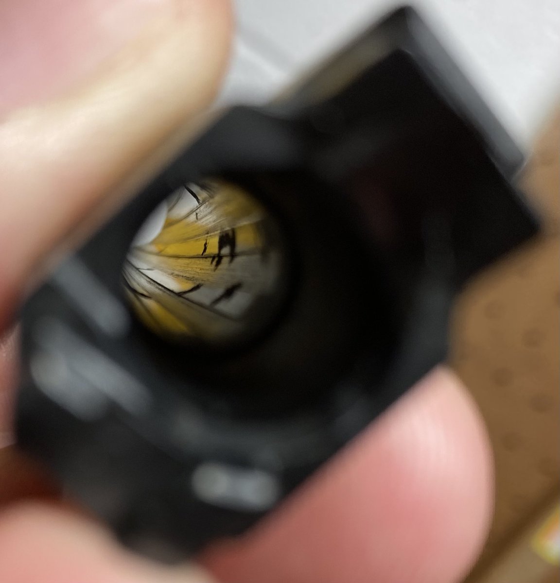 johnwizeman1's tweet photo. @Iraqveteran8888 Check the inside of your barrel. I’ve had to call Sig twice and them replaced because of pitting inside the barrel. It’s humid in MO I know GA is too. https://t.co/FGAs3lTquA