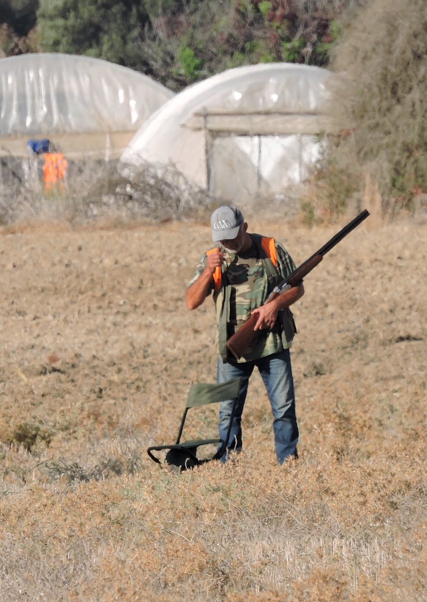⚠️ Update from our winter bird protection camp in #Cyprus. It seems bird trapping has almost completely collapsed - we have located just three active trapping with just 2 nets (in comparison: in winter 2017/18 our teams collected 137 nets!). 

More here 👉 instagram.com/p/CoHzyEOq_gj/…