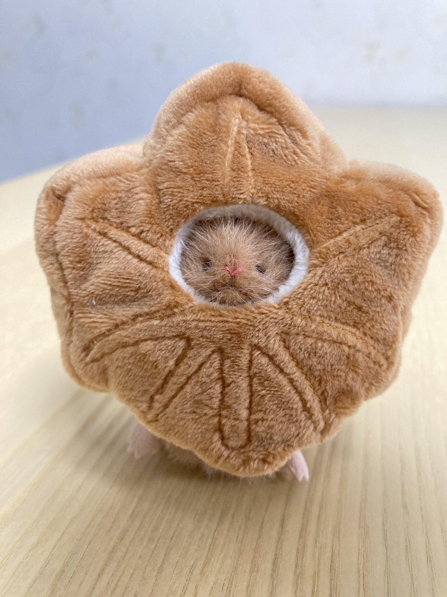 三角ユウリ カステラ マウス ぬいぐるみ 着ぐるみ