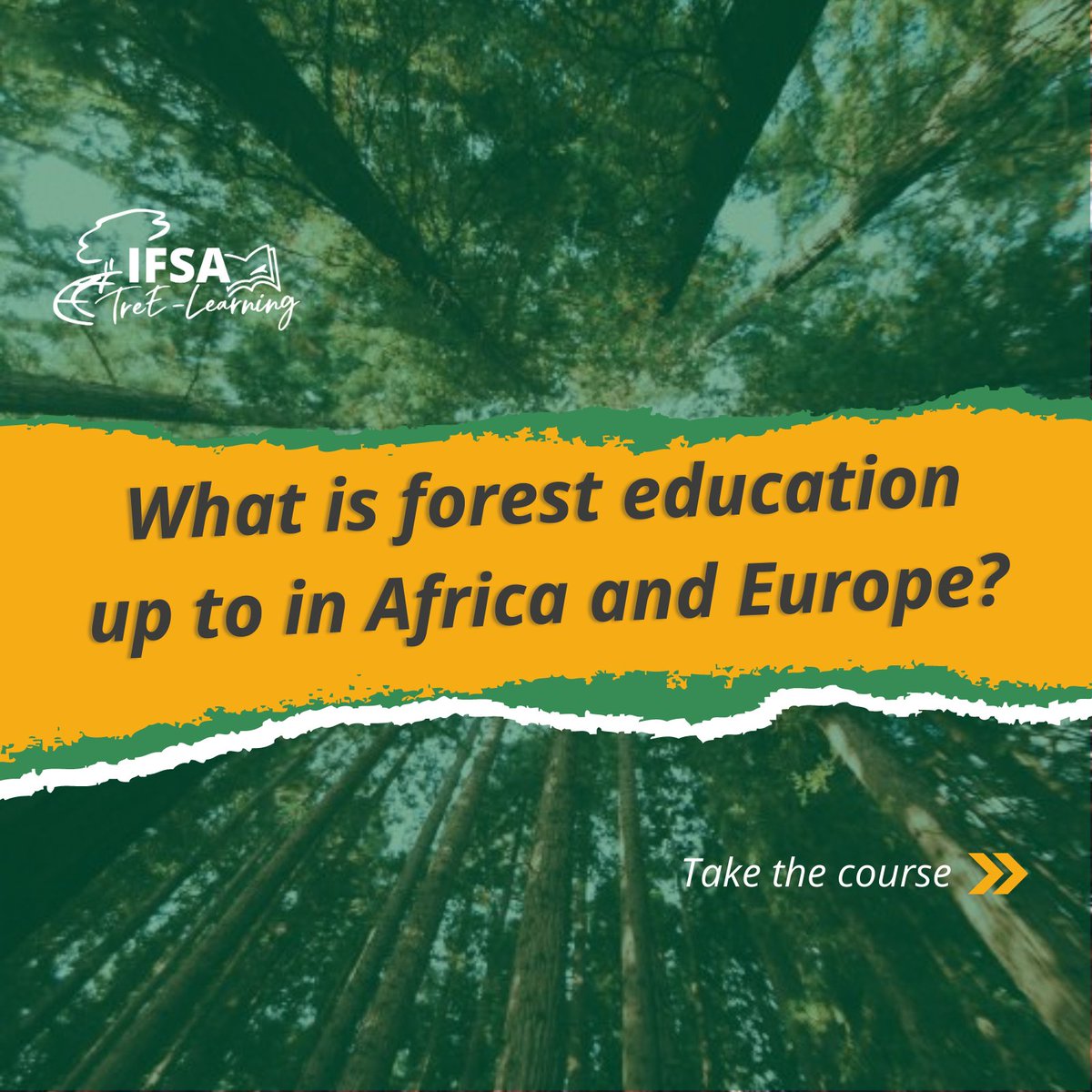 IFSAdotnet's tweet image. New content available on the TreE-Learning platform Forestry Topics! 
Learn more about the current status of Forest  Education in Africa and Europe.
Link to the course: ifsa.net/tree-learning/… 
#TreELearning, #onlinelearning #education #foresteducation #ifsadotnet