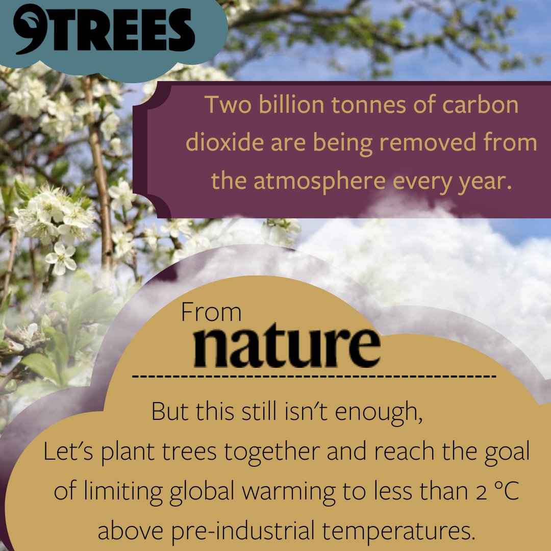 9treesUK's tweet photo. 2biln tonnes of CO2 are being removed from the atmosphere every year.
But this still isn't enough to meet the #ParisAgreement goal, let's plant #trees together and limit the effects of #globalwarming
#TheStateofCarbonDioxideRemoval
#9treesuk https://t.co/phJunZ2qH0