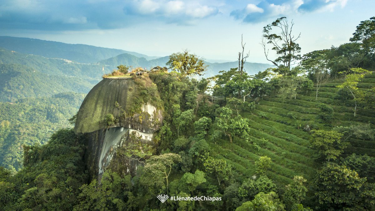 #Sabiasque
¿EXISTE UN LUGAR EN CHIAPAS LLAMADO PICO DE LORO?
este mirador natural es otro de los atractivos que atrae a turistas locales, nacionales e internacionales al municipio de Unión Juárez, este lugar se encuentra a mil 300 metros sobre el nivel del mar.

#Chiapas #drone