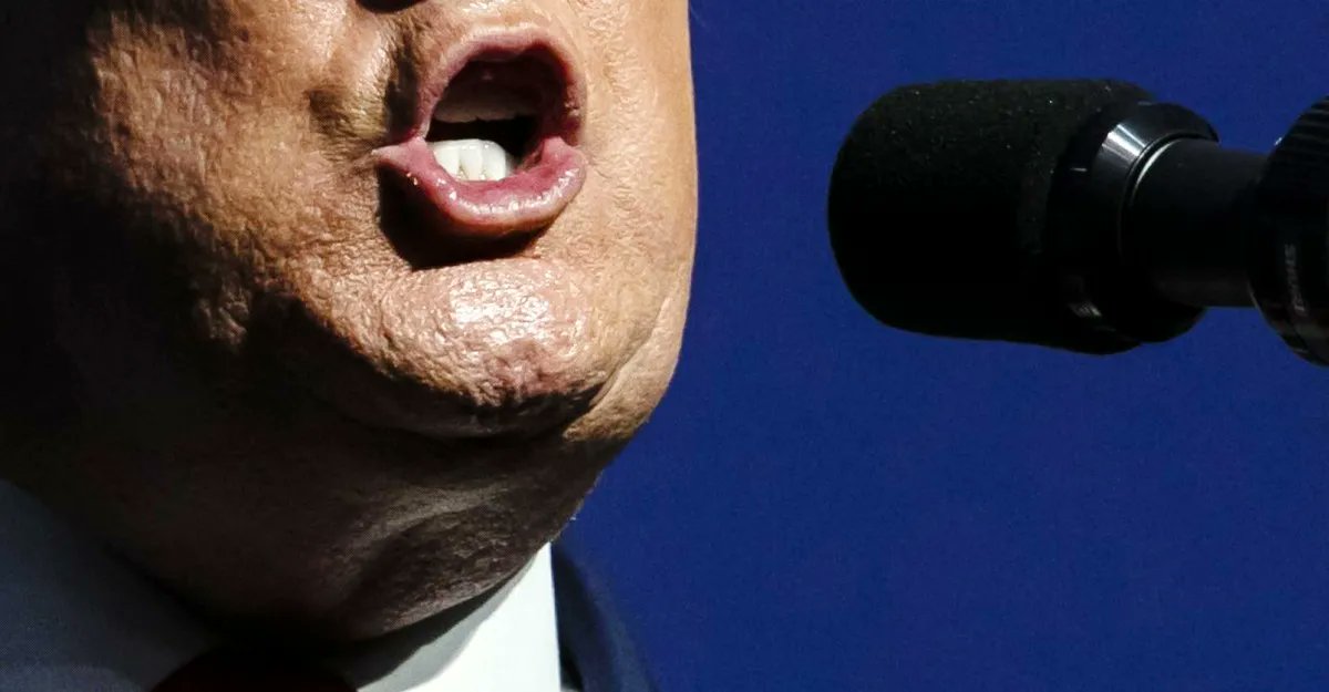 Hattusia tweet media