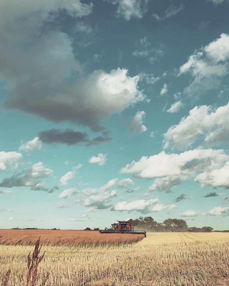 Bill Jackson tweet media