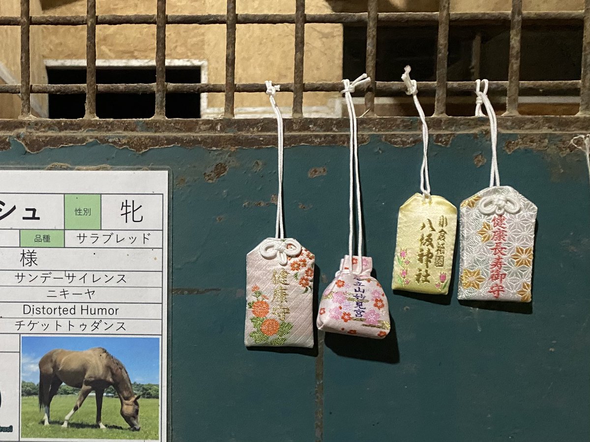 お守り感謝します🙏
ララフォーナにとって、初めての交配が順調に進みますことを願っております🐴 