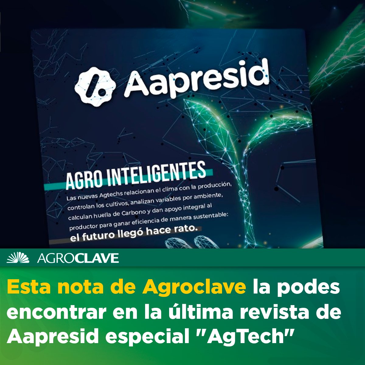 agroclave_'s tweet photo. 🌱Agricultura no tradicional: Pensó en verde y se lanzó a innovar con cultivos alternativos
🌐 Leé la nota completa de Azul Martínez Lo Re en nuestro nuevo sitio web o en la revista @aapresid
#aapresid #revista #agtech #argentina #Editorail #startup #ganaderia
#agro #cultivos https://t.co/qWe4No3plN