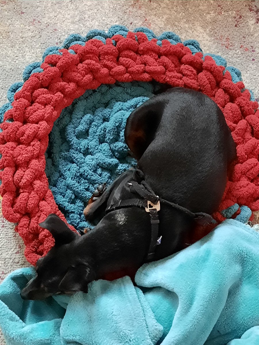WoofinityS's tweet photo. Show your dog some love with a hand knit bed this Valentines Day! 💝 #DogsOnTwitter #puppylove #dogsoftwitter https://t.co/hFO8TOaDAm