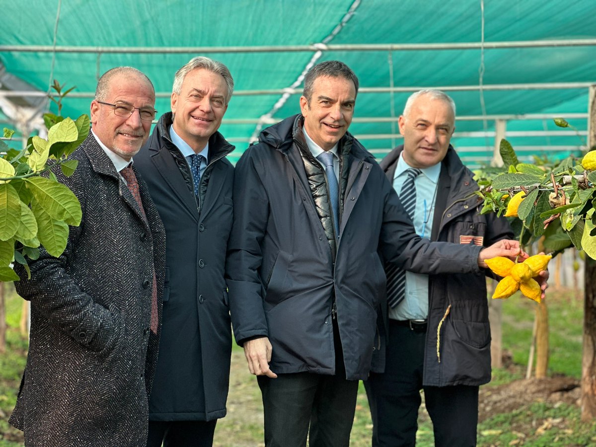 corrierelamezia's tweet photo. Agricoltura, Occhiuto: “Ok Ue a marchio Dop per cedro Calabria, bella notizia per Regione” - https://t.co/r1lqb7kUu1 https://t.co/2f7mCer40T