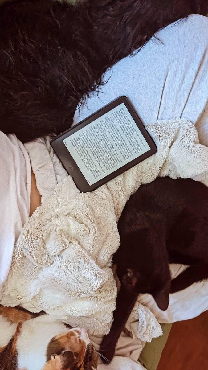 papayaboobs's tweet photo. the current vibe 📚🐾 https://t.co/paoDyhAWW6