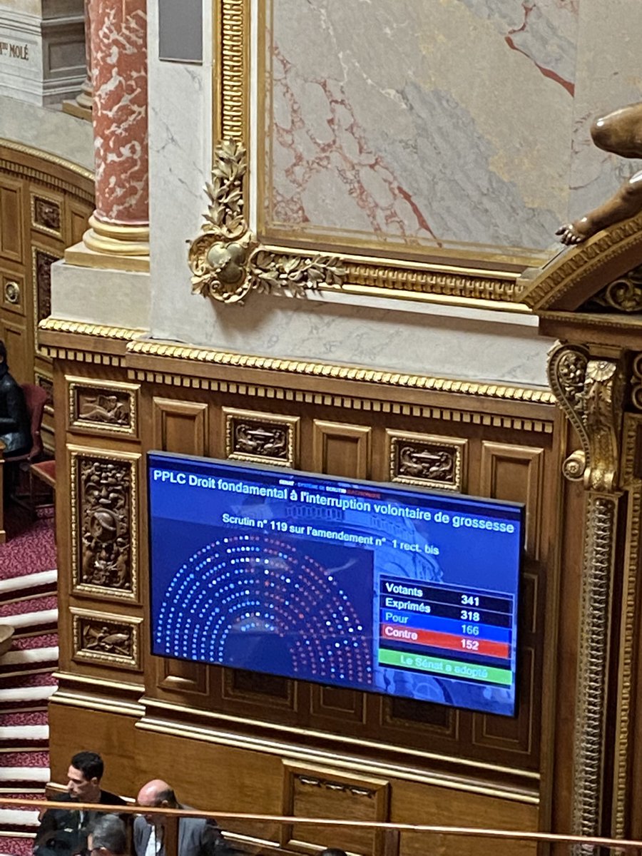 AnneCMailfert's tweet image. Adopte !!! #IVGDansLaConstitution