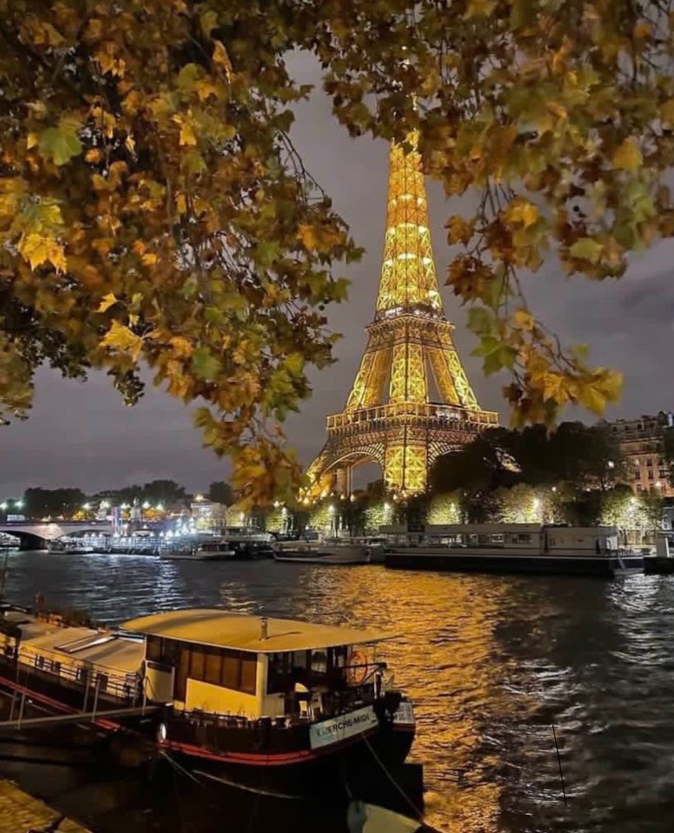 WORLD 2026 🌊 tweet media