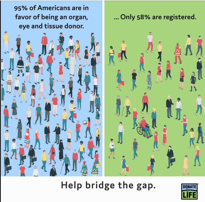 With over 100,000 people waiting for a lifesaving organ transplant, we need as many people as possible to sign up as organ donors. Learn more at bit.ly/35pUZJ5
. #DonateLife #BridgetheGap