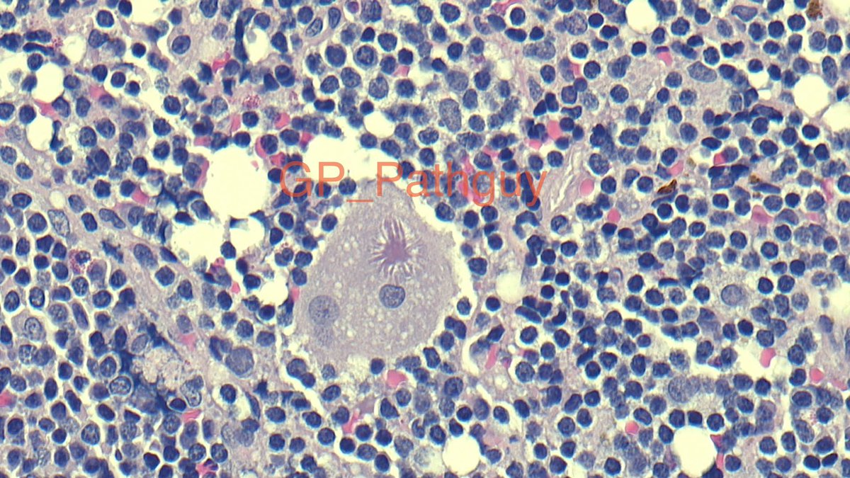 Glenn Murray tweet media