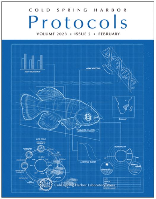 Itai and Eitan got the cover! :) 

Check out the latest issue of CSH Protocols, in which we describe a step-by-step guide for efficient CRISPR–Cas9 genome editing in killifish: 
cshprotocols.cshlp.org/content/2023/2… 
The 'blueprint' represents the versatility of this experimental model system!
