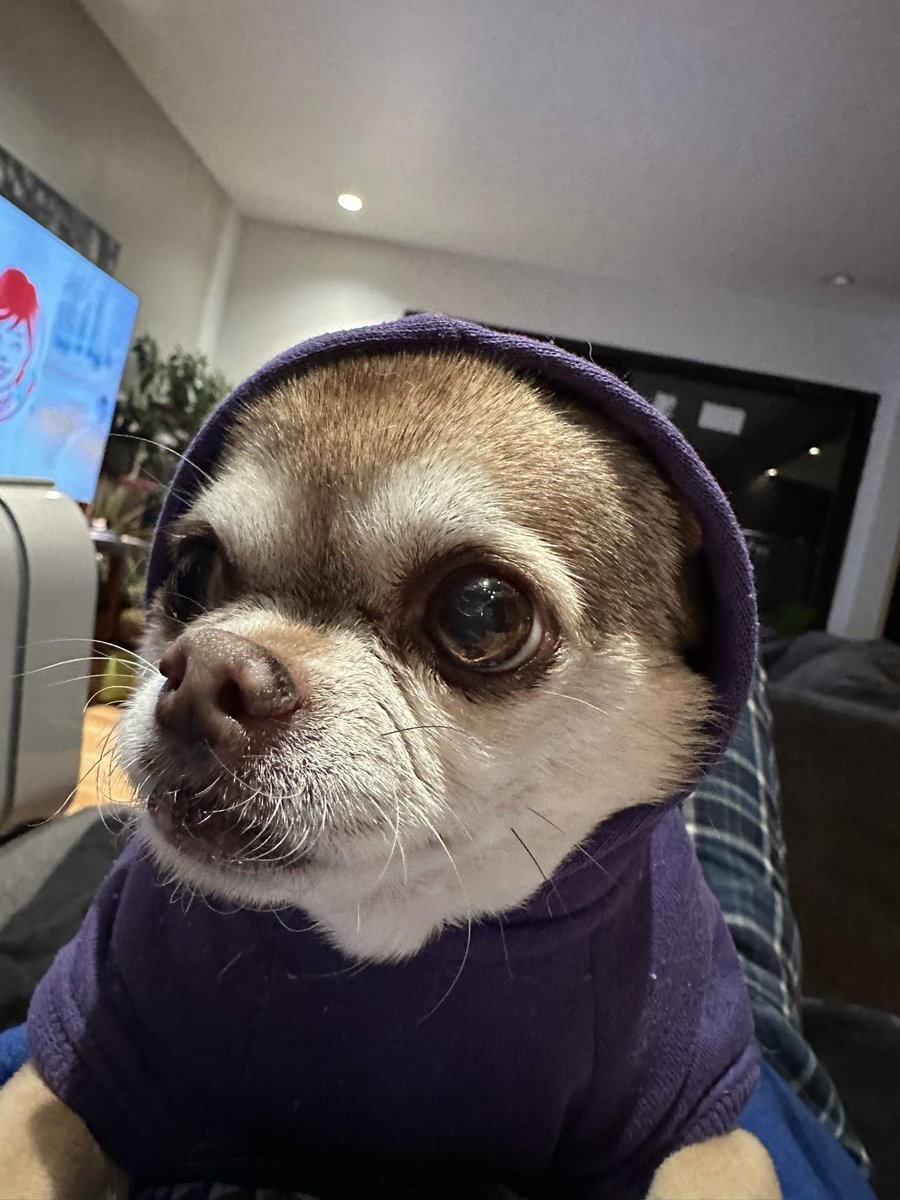 tyleeeeeeerr's tweet photo. Good Ol’ Belle 🚺 https://t.co/n2EEE39FBE