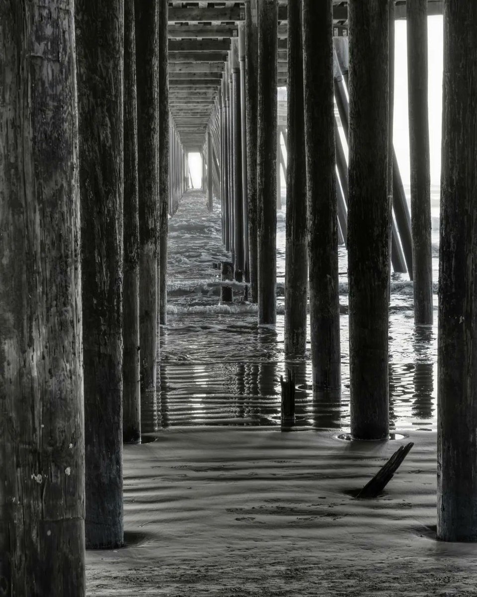 GearTier's tweet image. Under the Pier at Pismobeach.
Fujifilm X-T4, 56mm f/1.2 WR, LuminarNeo HDR

#Pismobeach #StreetPhotography #Photogear #PhotographySoftware #Xseries #Fujifilm #Fujiframez #ProPhotography #PhotographyLife #CoastalLiving