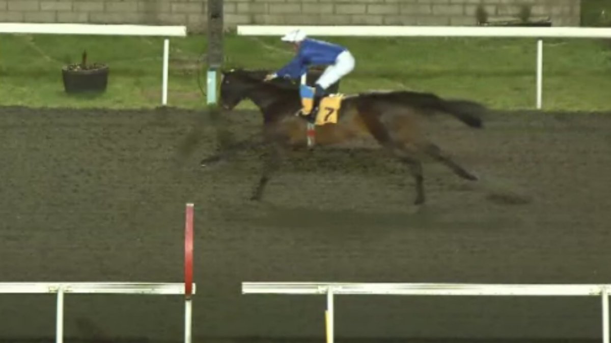 shugiehughie's tweet photo. 3yo 1m Winner #Kempton . Measured Time by Frankel x Minidress ( Street Cry ) . #CharlieAppleby #DavidProbert . Her dam was Short Skirt , see previous tweet !! #FamilyAffair https://t.co/Z0BcR7sPNt