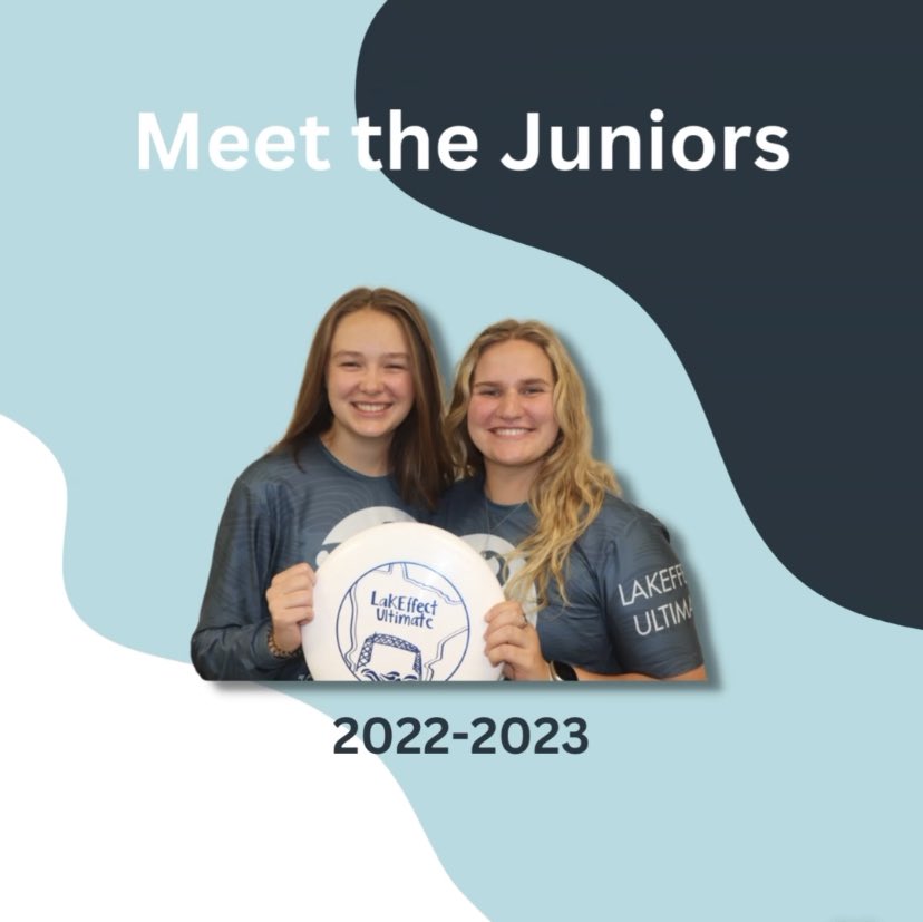 LakEffect Ultimate tweet media