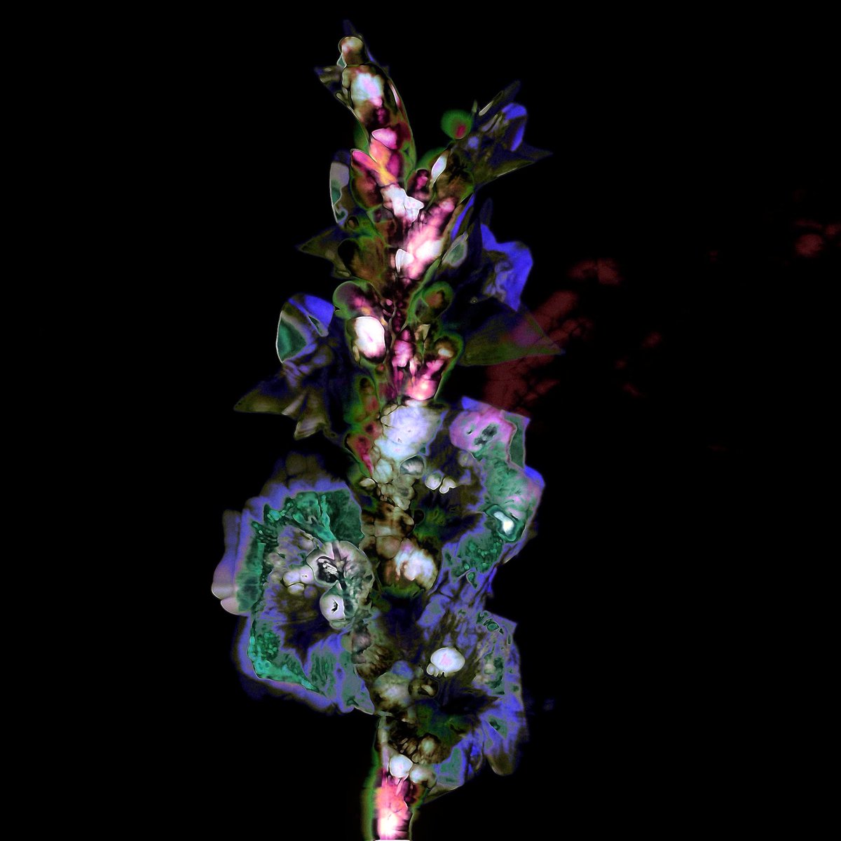 pali (they, them) 🏳️‍⚧️ tweet media