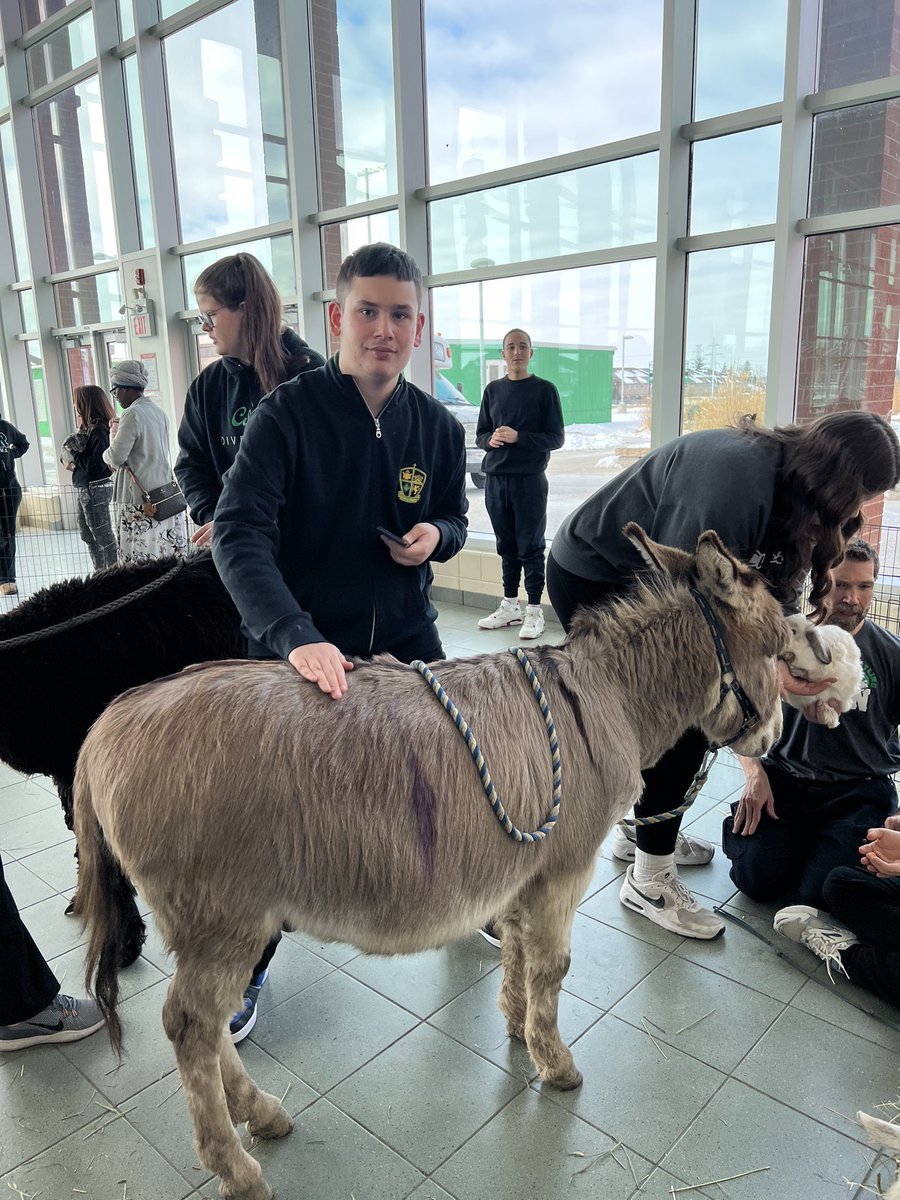 Bishop Ryan CSS tweet media